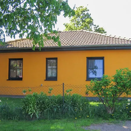 Bohne Rubitz
